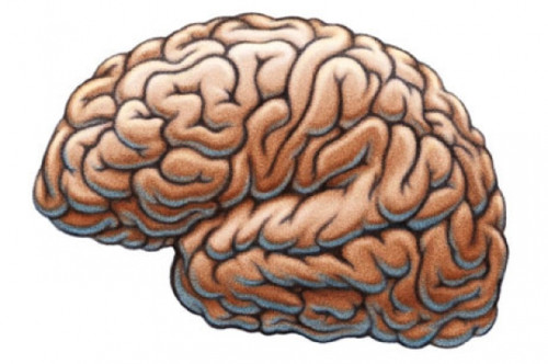 Blog post image