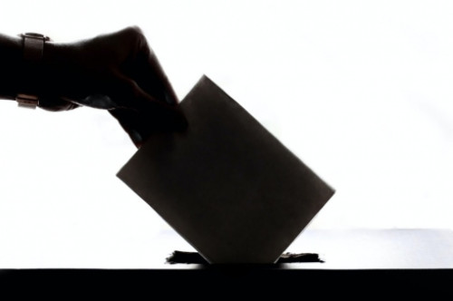 danschnurvotingimage1
