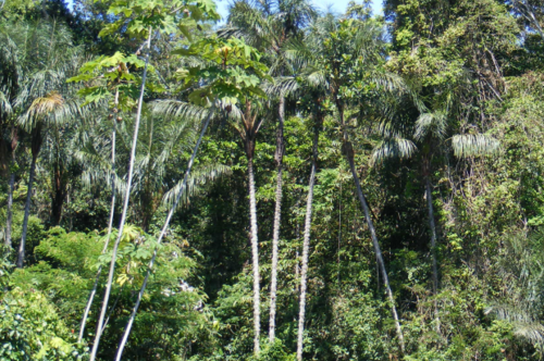 Blog post image